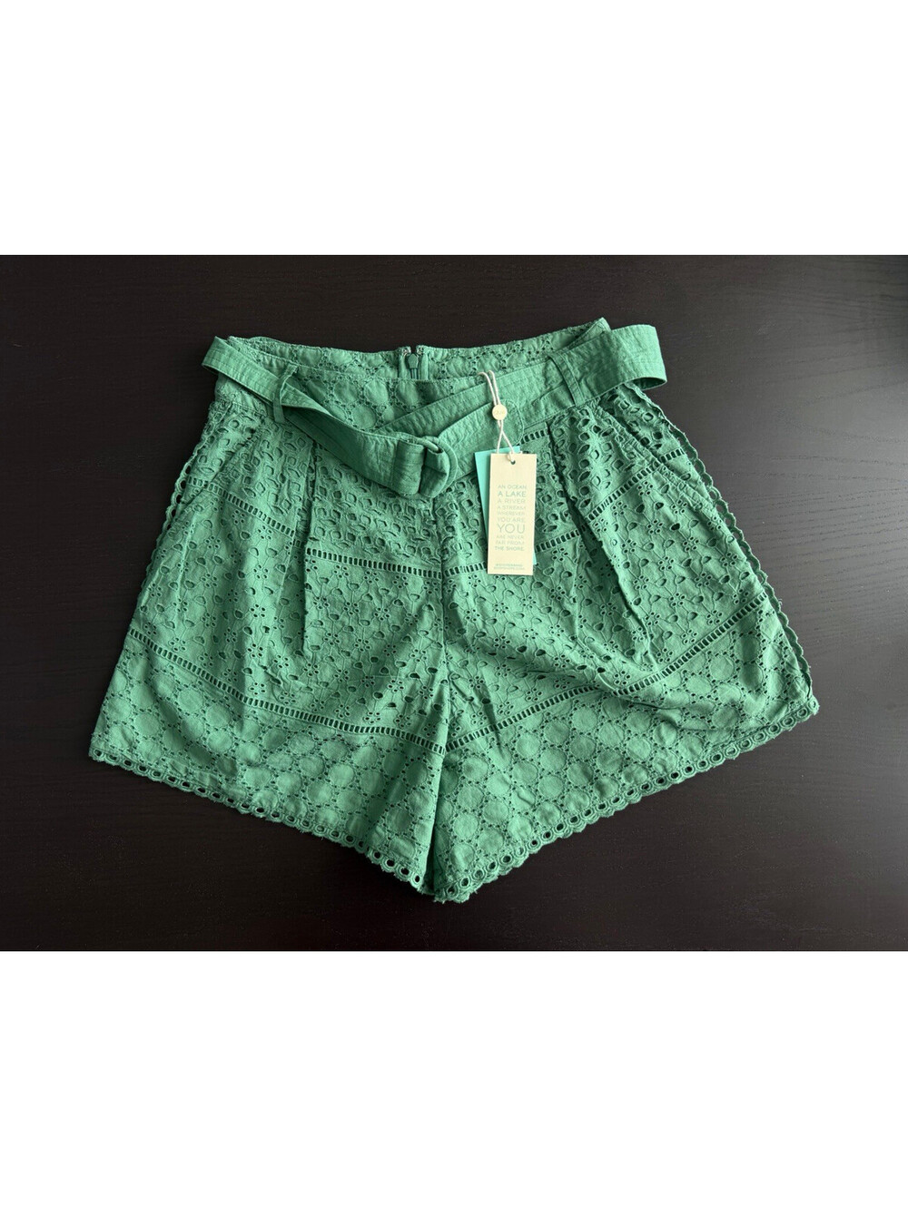 Shore Brand Lena Belted Eyelet Shorts Small Canton Green Cotton Pleated Boho